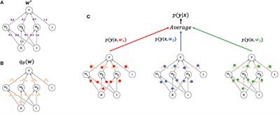 Knowing What You Know in Brain Segmentation Using Bayesian Deep Neural Networks